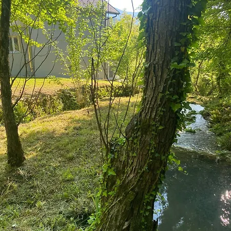 Tatil Evi Tri Potoka